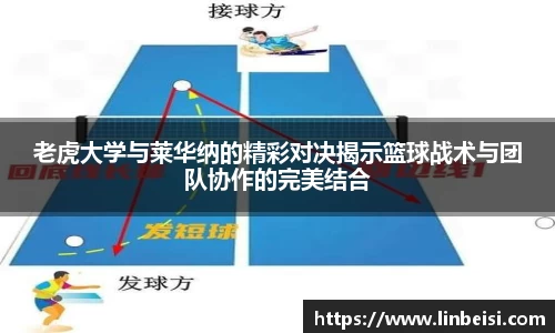 星空·体育(xingkongtiyu)中国官方网站